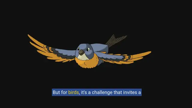 Video thumbnail for The Science of Soaring: Unveiling How Birds Fly