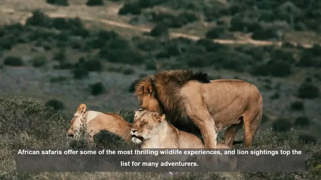 Video thumbnail for Top 10 Lion Encounters on African Safaris