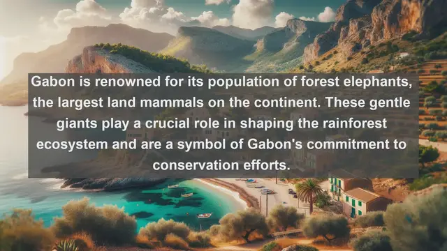 Video thumbnail for Exploring Gabon's Breathtaking Wildlife: Top 10 Native Animals