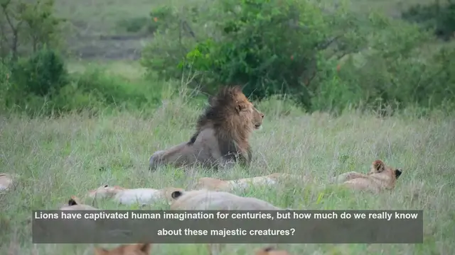 Video thumbnail for 10 Lion Myths Debunked: Facts About the Savanna's Top Predator