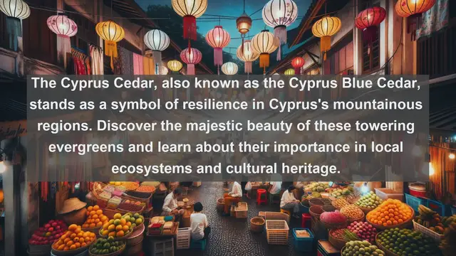 Video thumbnail for Unveiling Cyprus's Botanical Treasures: Top 10 Native Flora Species