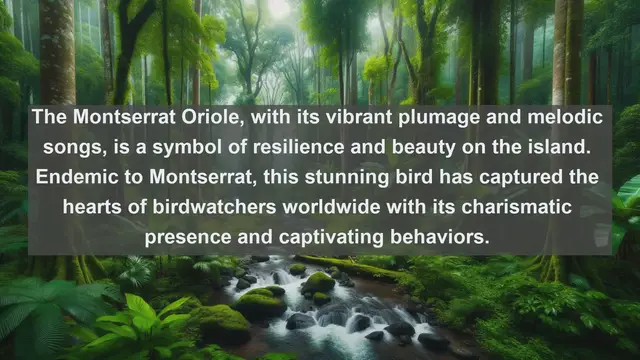 Video thumbnail for Exploring Montserrat's Avian Diversity: Top 10 Native Birds