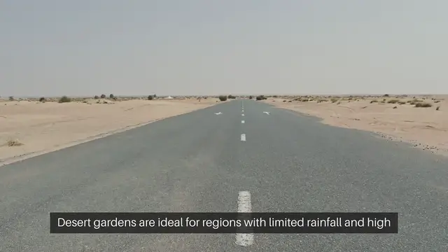 Video thumbnail for Desert Garden Plant Ideas