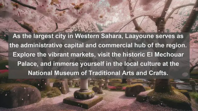 Video thumbnail for Exploring the Top 10 Largest Cities in Western Sahara!