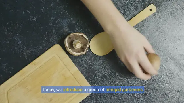 Video thumbnail for Garden Gags: Jokes about Growing your own food