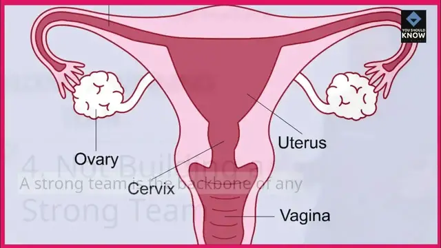 Video thumbnail for Top 10 Most Common Mistakes of New Entrepreneurs