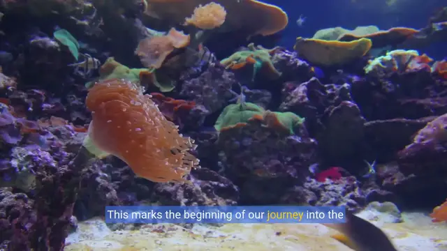Video thumbnail for Breathing Underwater: The Science of Fish Respiration