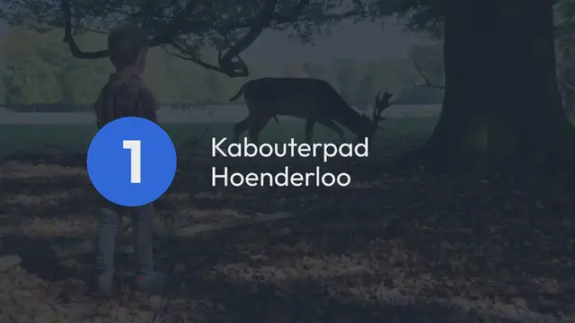 Video thumbnail for Wandelroutes op de Veluwe: de 12 beste korte wandelingen!