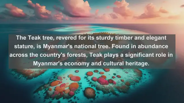 Video thumbnail for Unveiling Myanmar's Botanical Treasures: Top 10 Native Flora