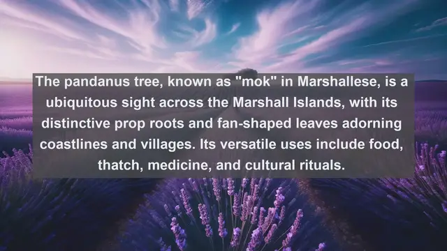 Video thumbnail for Unveiling the Natural Wonders of the Marshall Islands: Top 10 Native Plants