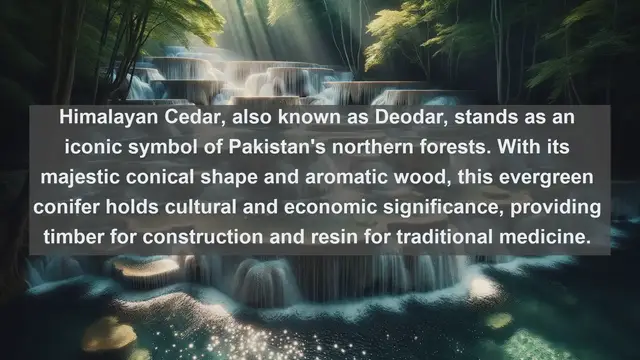 Video thumbnail for Exploring Pakistan's Botanical Treasures: Top 10 Native Flora Revealed!