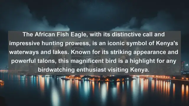 Video thumbnail for Top 10 native birds in Kenya