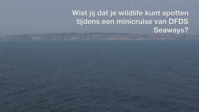 Video thumbnail for ORCA Wildlife Center maakt je minicruise IJmuiden – Newcastle extra bijzonder