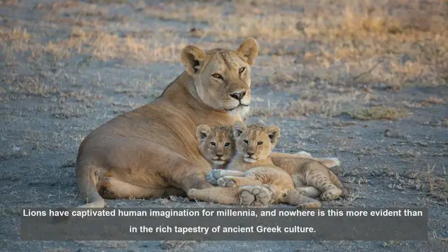 Video thumbnail for 10 Lion Depictions in Ancient Greek Culture