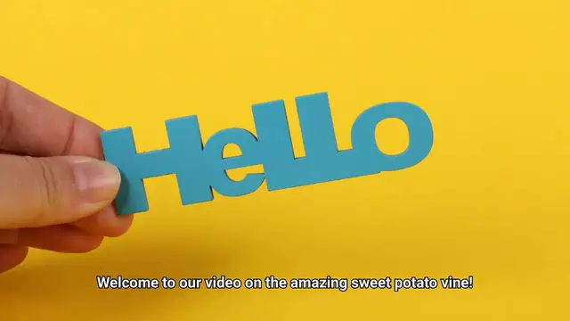 Video thumbnail for Sweet Potato Vine