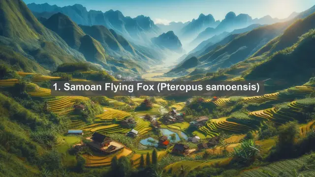 Video thumbnail for Top 10 native fauna in American Samoa