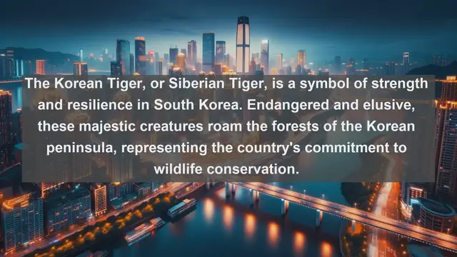 Video thumbnail for Top 10 native animals in South Korea