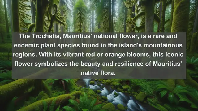 Video thumbnail for Discovering the Botanical Treasures of Mauritius: Top 10 Native Plants Revealed