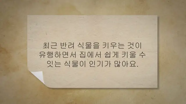 Video thumbnail for 키우기 쉬운 식물 10가지, 초보자 추천해요