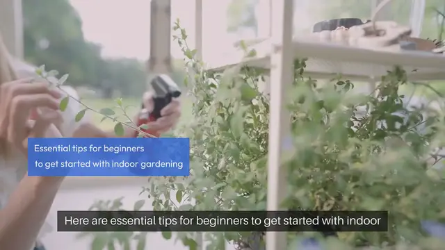 Video thumbnail for Indoor Gardening Essentials For Beginners