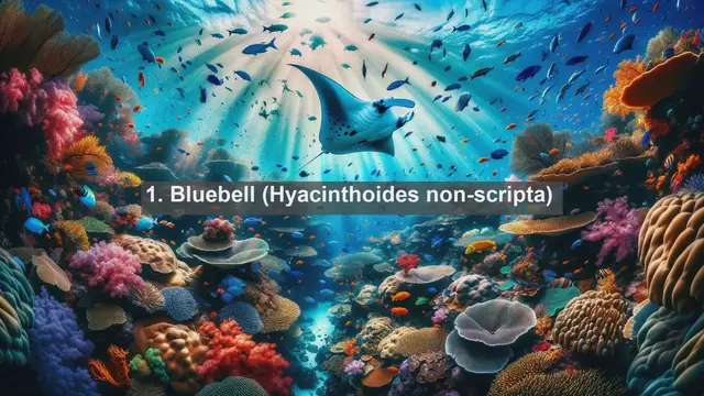 Video thumbnail for Exploring Britain's Botanical Gems: Top 10 Native Flora of the United Kingdom