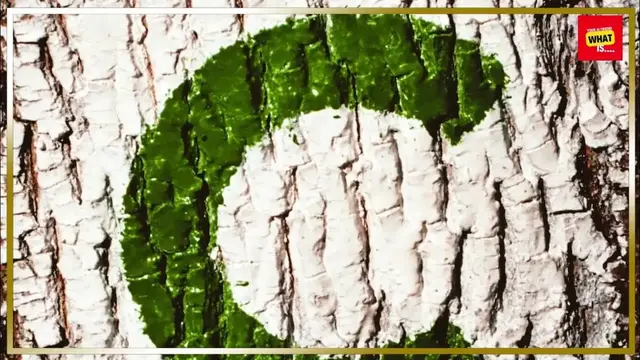 Video thumbnail for What is Chemistry, and How Does it Investigate Matter and Its Properties?