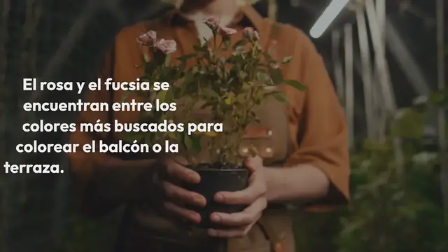Video thumbnail for Plantas con flores fucsias: aquí tienes las más bonitas y seguras para tener en casa