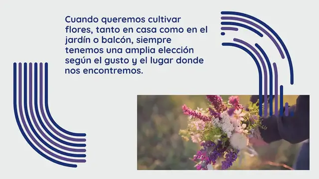 Video thumbnail for Aquí están las flores más fragantes de la historia: el ranking de viveros