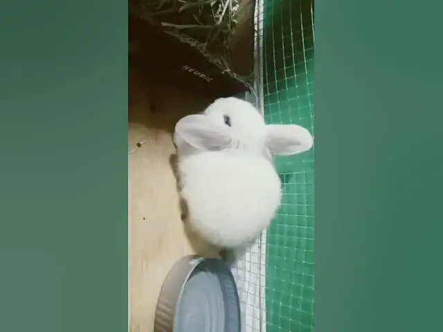 Video thumbnail for 6 de julio de 2025