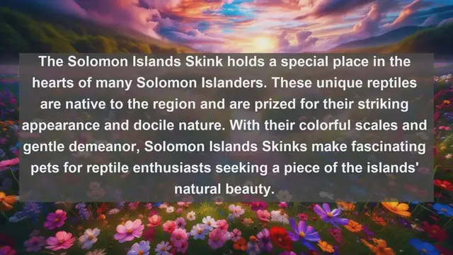 Video thumbnail for Discover the Beloved Pets of the Solomon Islands: Top 10 Favorites Revealed!
