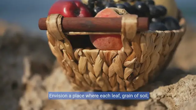 Video thumbnail for Renewal of the Garden: Animated Adventures