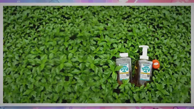 Video thumbnail for Blauschwingel wird braun – Was tun?