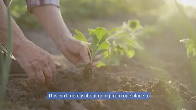 Video thumbnail for Exercise for older adults_ Staying active and mobile