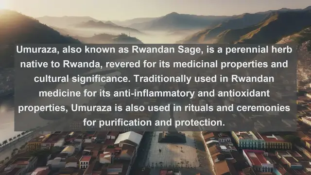 Video thumbnail for Exploring Rwanda's Biodiversity: Top 10 Native Plants You Need to Know