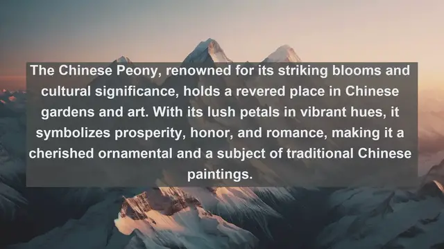 Video thumbnail for Exploring China's Natural Treasures: Top 10 Native Plants Revealed