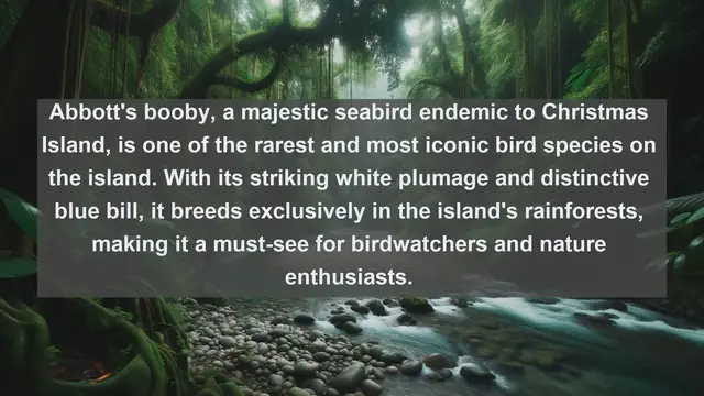 Video thumbnail for Exploring Christmas Island's Avian Treasures: Top 10 Native Birds