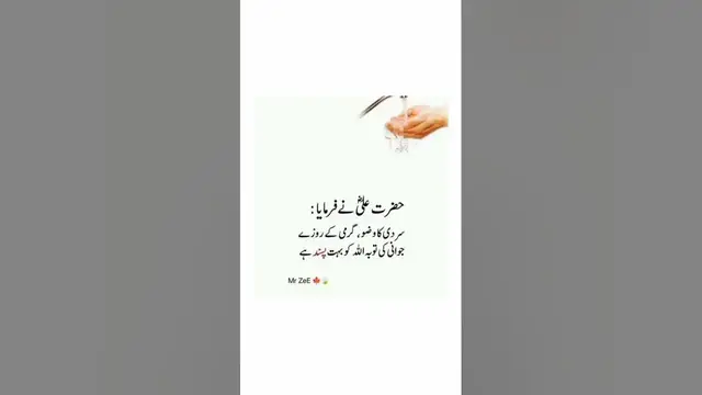 'Video thumbnail for beshak ❤️ subhanallah ❤️#religion #islamicvideo #2k24 #islam #islamicsshorts #qurancover'