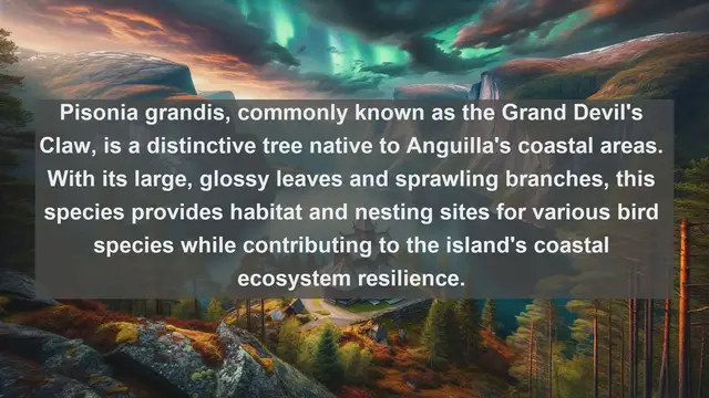 Video thumbnail for Unveiling Anguilla's Natural Gems: Top 10 Native Plants Revealed!