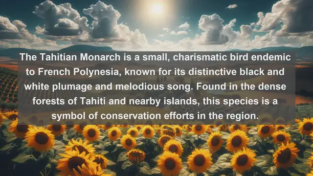 Video thumbnail for Wings of Paradise: Top 10 Native Birds of French Polynesia