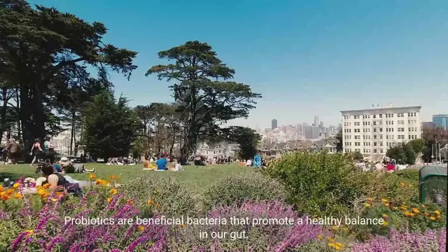 Video thumbnail for The Science of Probiotics