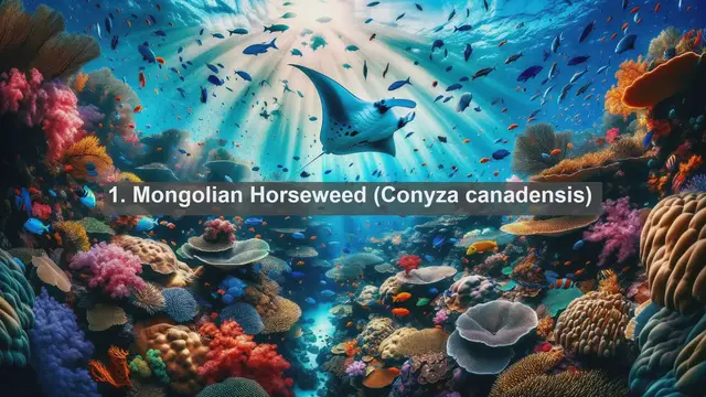 Video thumbnail for Discovering Mongolia's Botanical Treasures: Top 10 Native Plants Unveiled