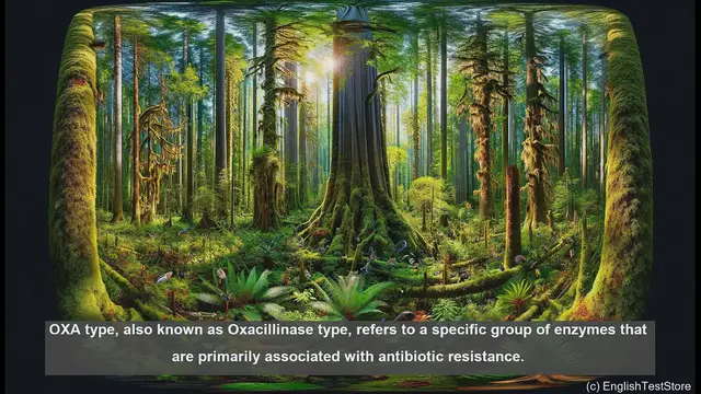 Video thumbnail for OXA type in biology