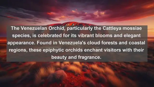 Video thumbnail for Exploring Venezuela's Natural Splendor: Top 10 Native Flora You Need to See!