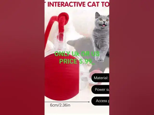 Video thumbnail for cat toy