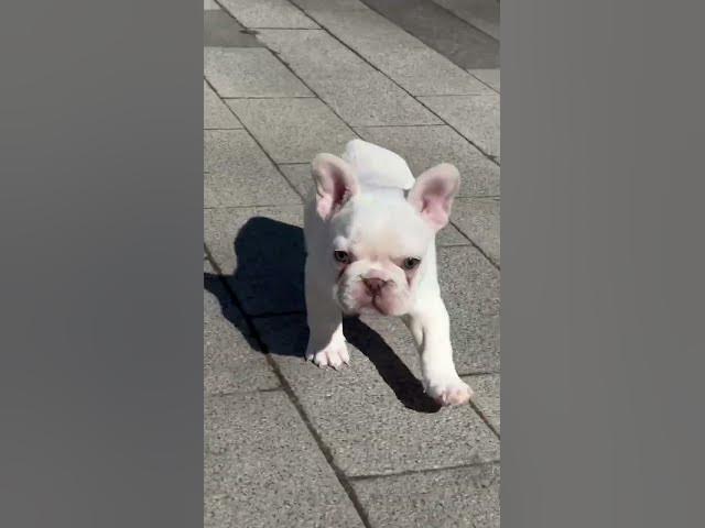 Video thumbnail for ###😝😝am I lose or 😝😝something ##@🤣🤣funnything  right ##@