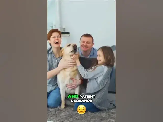 'Video thumbnail for Unleashing the Love: Meet Max, the Ultimate Nurturing Companion'