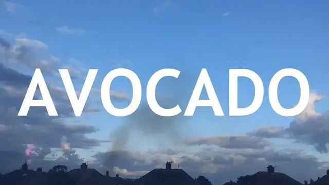 'Video thumbnail for Growing an Avocado Tree from Seed, Indoors. Part 1'