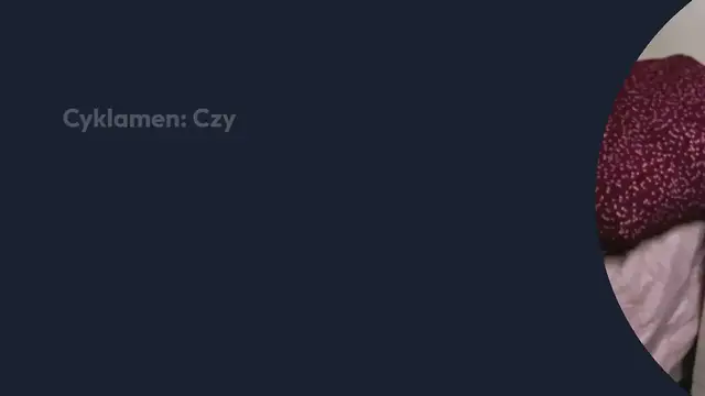 Video thumbnail for Cyklamen: Czy zauważyłeś kiedyś białe kulki w wazonie? Wyjaśnię, czym one są i co robić!
