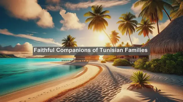 Video thumbnail for Tunisia's Beloved Pets: Top 10 Treasured Companions in Tunisian Homes