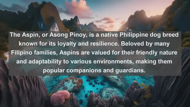 Video thumbnail for Discover the Beloved Companions: Top 10 Favorite Pets in the Philippines!